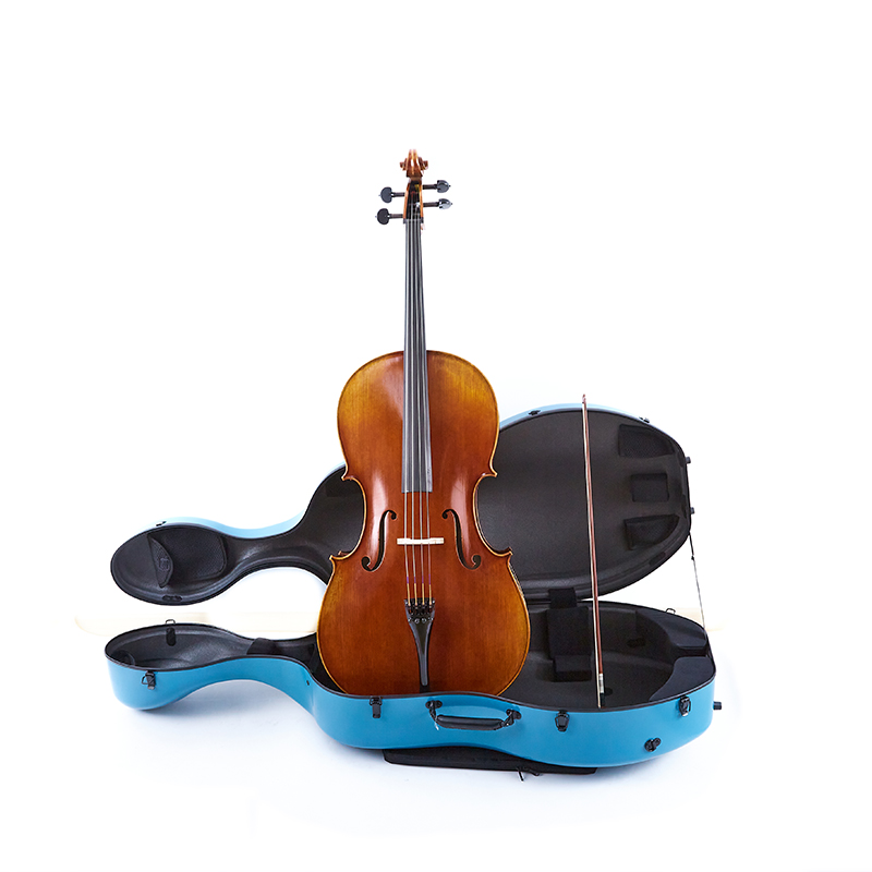 Cumu prutegge i nostri violini in a vita di ogni ghjornu (2)